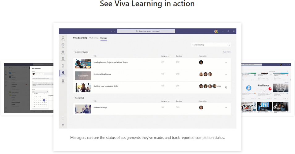 Microsoft Viva Blog Image3